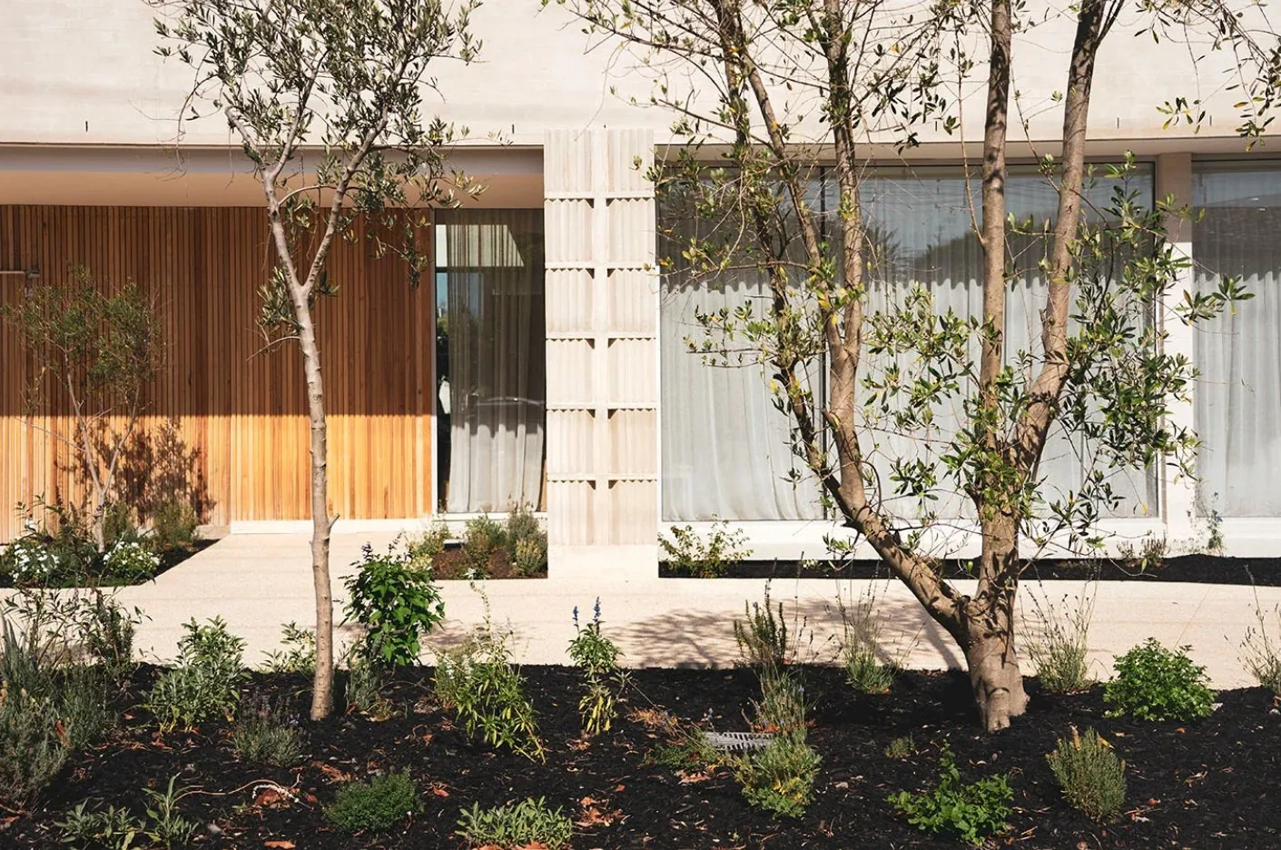 Home facade with sheer curtains behind tall windows and an olive garden